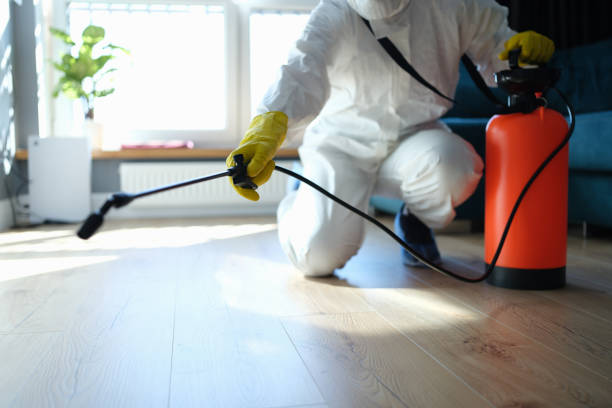 Reliable Odor Removal contractor in Manchester, WA by Trauma Clean Pros